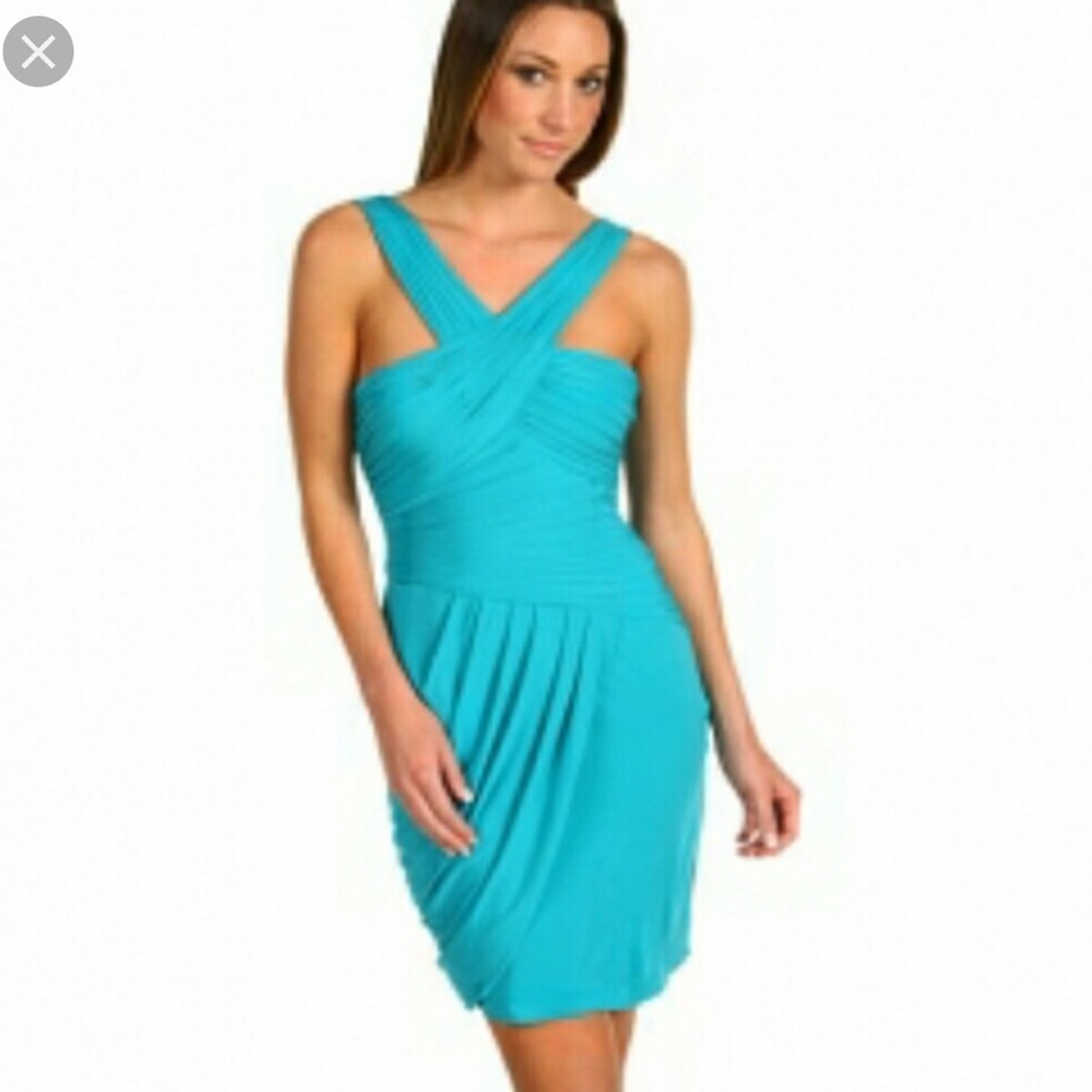 BCBG maxazria “Helyn” Dress